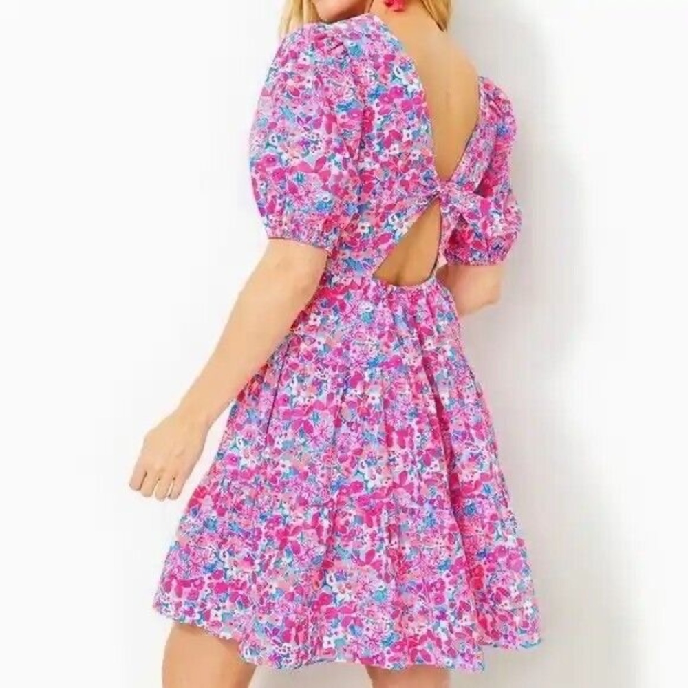 Lilly Pulitzer Nalani short sleeve cotton dress, NWT